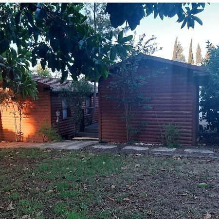A Fun Holiday In The Galilee Sede Eli'ezer ภายนอก รูปภาพ