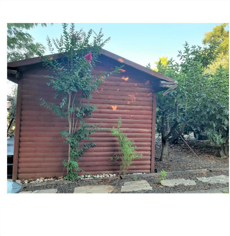 A Fun Holiday In The Galilee Sede Eli'ezer ภายนอก รูปภาพ